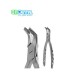 Tooth Forceps for Children( For upper and lower deciduous molars)