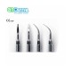 10 pcs BaoLai® Scaler Tip T4(EMS, MECTRON Compatible)